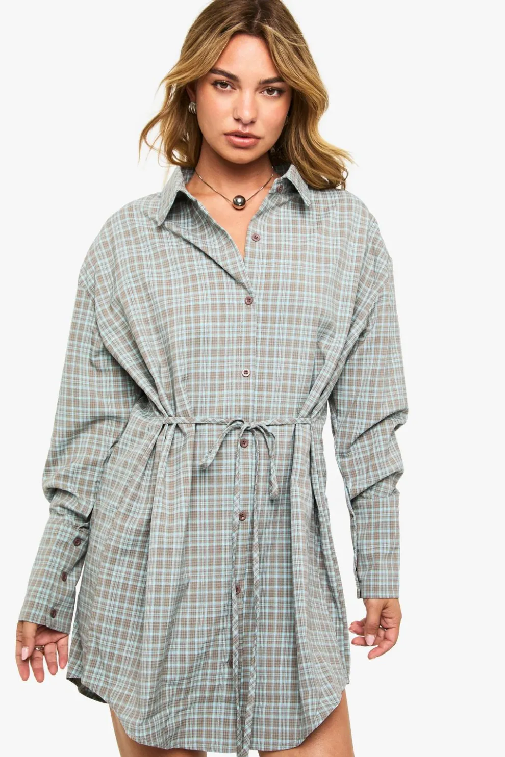Check Cinched Waist Shirt Dress | Nasty Gal